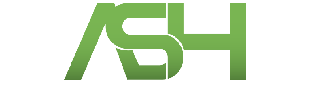 Ali Saqlain Holdings